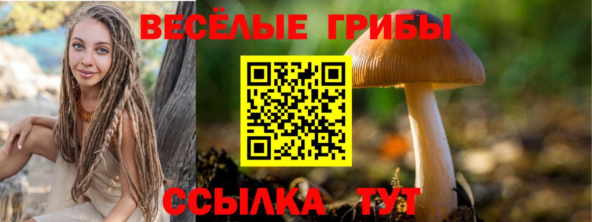 Ступино  Галлюциногенные грибы Cubensis  Вход с VPN 